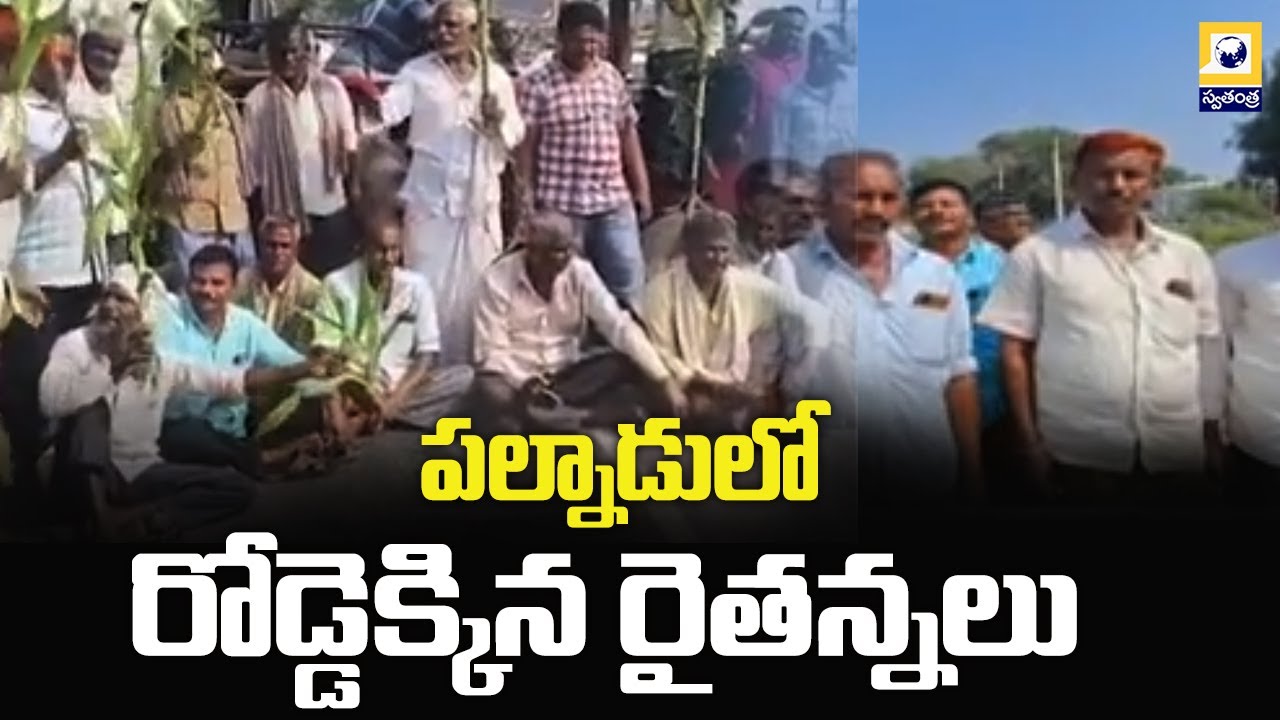 పల్నాడులో రోడ్డెక్కిన రైతన్నలు | Farmers Protest in Palnadu district | SwatantraTV
