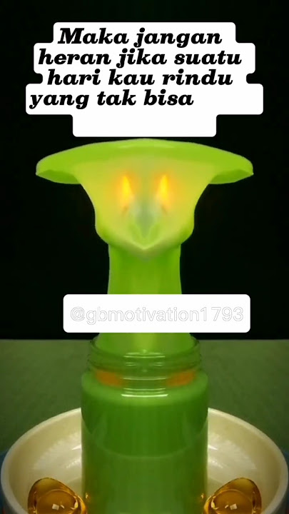 PERGINYA ORANG MARAH