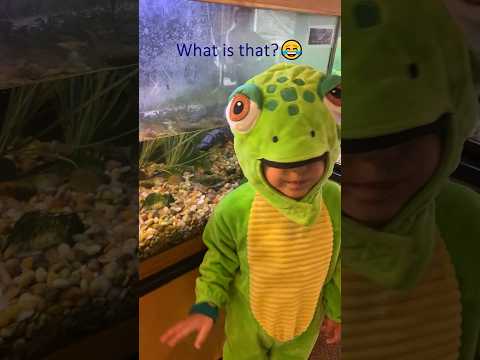 Cute Baby in