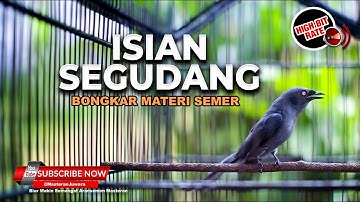 🔴MASTERAN SRIGUNTING ABU ABU GACOR FULL BONGKAR ISIAN