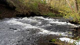 Download Lagu Læsåen. MP3