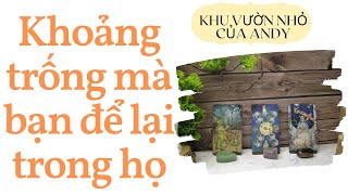 Khoảng trống mà bạn để lại trong họ {Ex/Tạm dừng/Sắp chia tay} | Chọn 1 tụ bài | Xem tarot