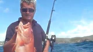 Fishing 5kg Coral Trout Red Fish Sunshine Reef