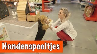 Hondenspeeltjes testen! | DierenpraatTV