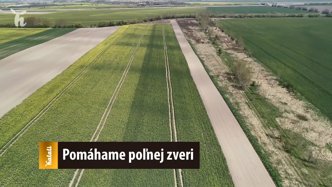 Pomáhame poľnej zveri