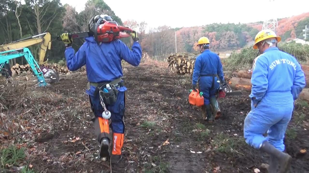 伐採！！現場到着…桂田興業さん菅原工業さんヤマヨ商店さんの何気ない風景2021
