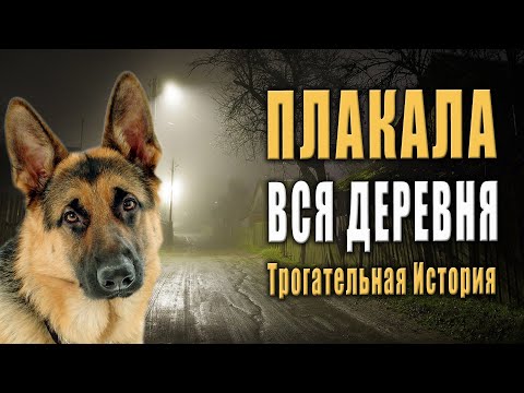 Плакала Вся Деревня! Эта Реальная История Из Жизни Не Оставит Вас Равнодушными