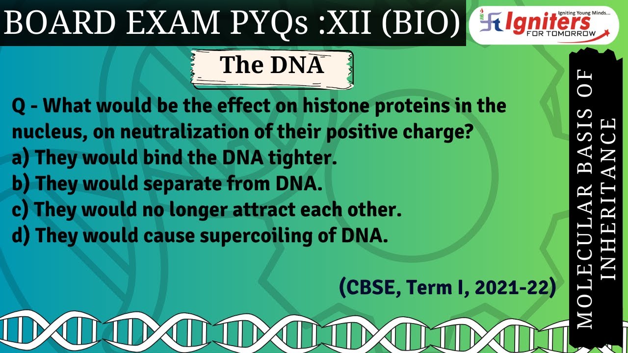 What would be the effect on histone proteins in the nucleus, on neutralization of their positive c..