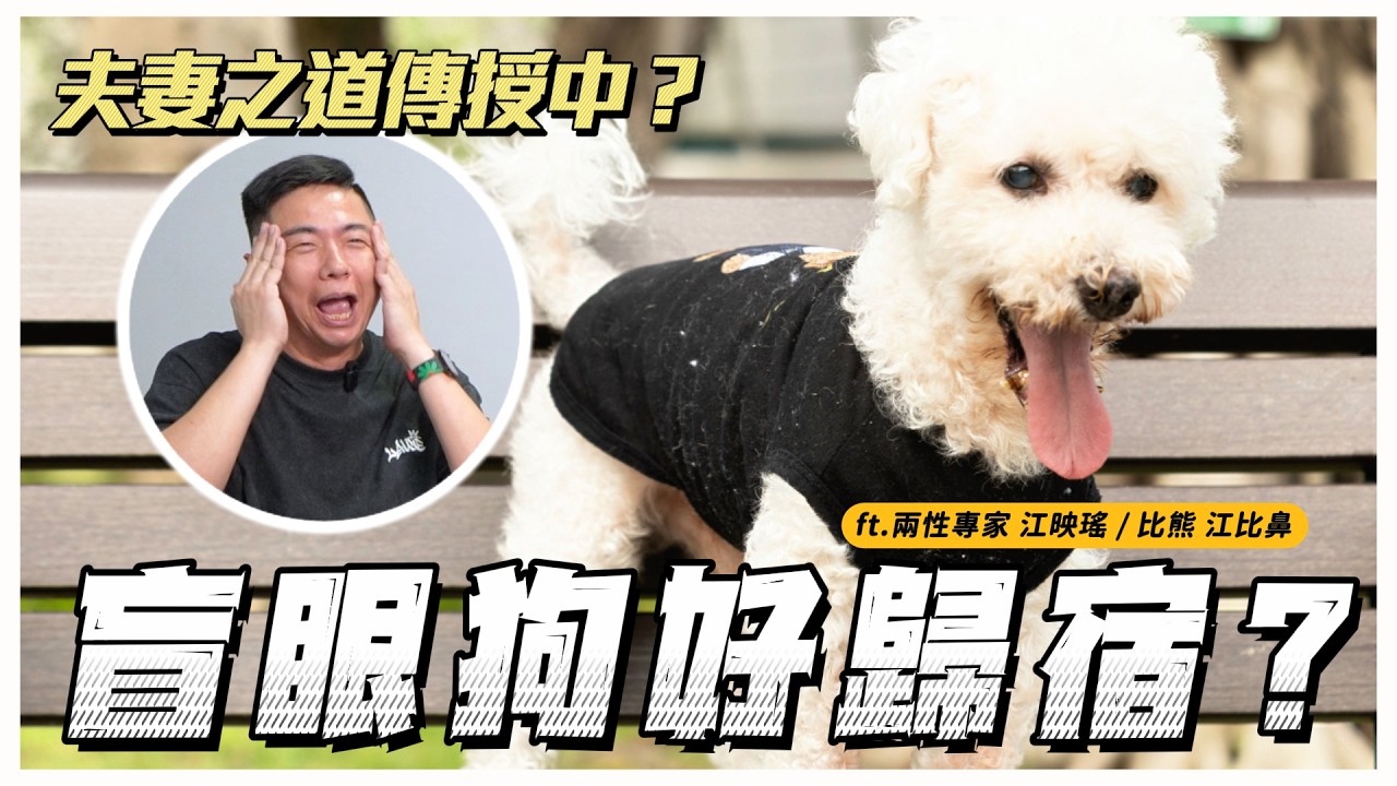 熊爸變來賓？被退4次的全盲狗狗終有歸宿！ft.兩性專家江映瑤｜熊爸估狗 縮圖