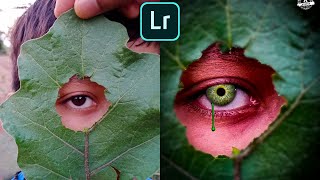 Leaf Near Eye Editing | Lightroom Editing Tutorial screenshot 2