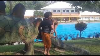 Mau Naik Dinosaurus Ceritanya Ini