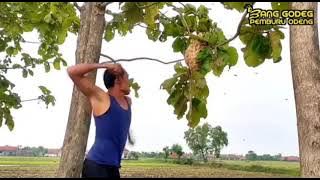 Salam dari Majalengka