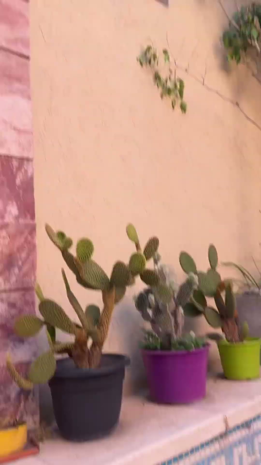 UN OBJETO EXTRAÑO EN MI PILETA???