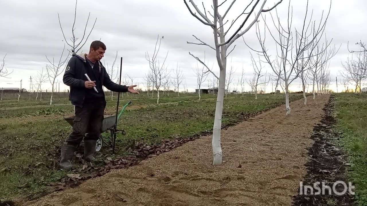 Самое эффективное и экономичное внесение удобрений.