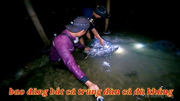 Trải nghiệm bao đăng bắt cá ở bãi biển đồi nhái vũng tàu trúng ngay ổ cá gần 30 ký