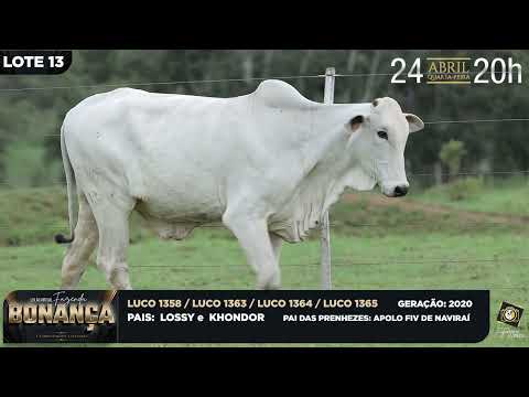 LOTE 13   LUCO 1363,1364,1315