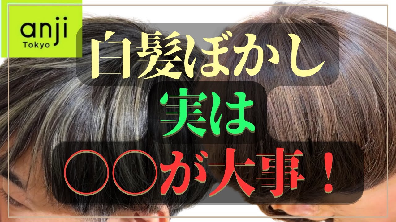 【白髪ぼかし】ハイライトの量も重要!白髪10%・30%・50%・70%で変わるおすすめヘアカラー<白髪ぼかしハイライト><ブリーチハイライト><白髪を活かしたヘアカラー>