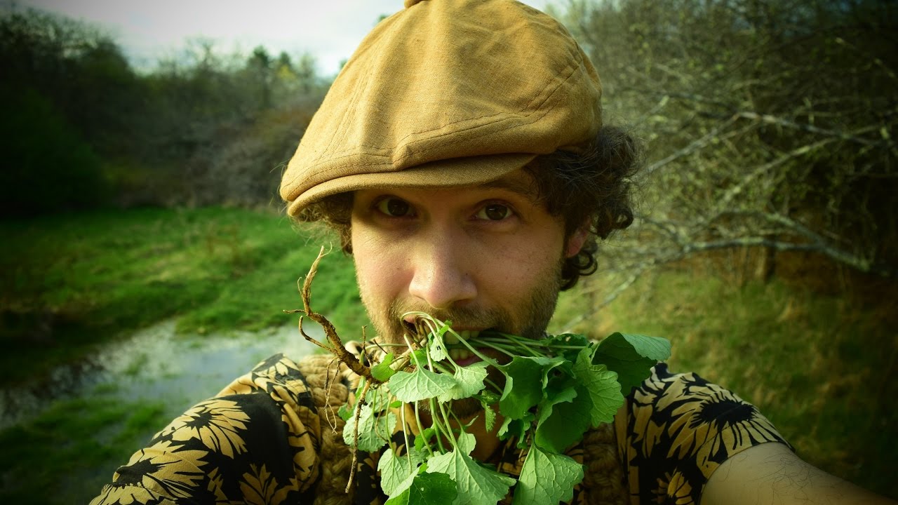 Better Than Kale!-Wild Edible Journey Part 1-Garlic Mustard