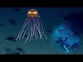 5 Scariest Creatures Caught At The Bottom of the Mariana Trench!