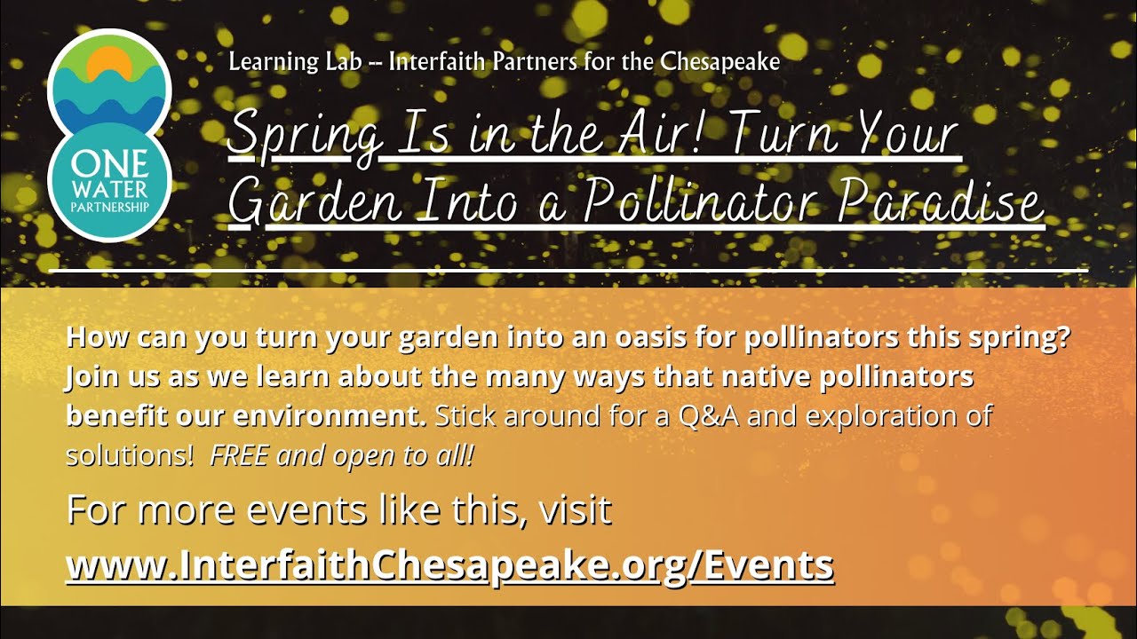 Spring Is in the Air! Turn Your Garden Into a Pollinator Paradise ...