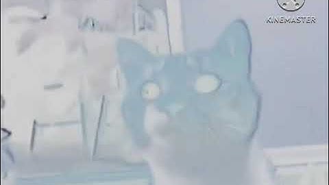 Shortest Video On YouTube Part 3 Effects Effects Sponsored By Sf1 Ident 2005 Effects