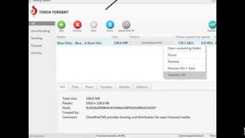 تحميل متصفح تورش اخر اصدار عربي   download Torch Browser