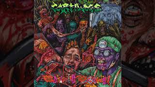 Cartilage - The Deader the Better