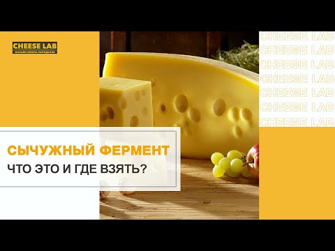 Сычужный фермент как получают в домашних условиях