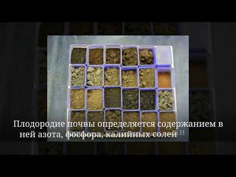 Анализ плодородия почвы в ЮКО