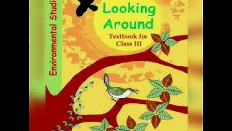 (GRADE III-EVS) CH-7 SAYING WITHOUT SPEAKING (PART-II)