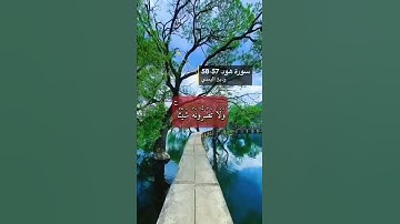 سورة هود الايه 57-58