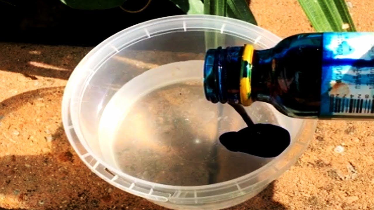 ►► WILL IT SLIME ?? ►► Slime Satisfying ASMR !!