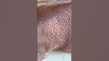 Day 2 of making ugly transitions!