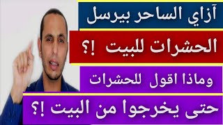 طريقة اخراج الحشرات من البيت اللي ارسلها الساحر.