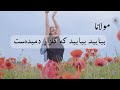 غزل مقبول مولانا به صدای شاملو بیایید بیایید که گلزار رمیده ست