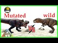 I Breed Super Mutated Giga That Can Kill Wild One |Ark Caballus| Ep44