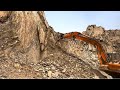 Excavator Breaking Mountains | Dangerous Operator Skills in Action | #excavators