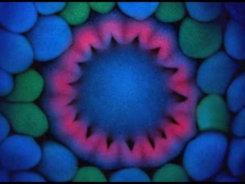 Rhythm of LIfe - Nature Through A Microscope