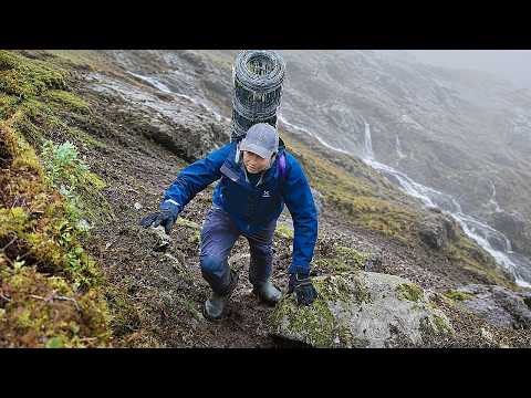 Uploads from Norwegian farm life