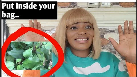 This leaf can make you Rich and Successful