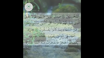 سورة البقرة  الشيخ محمد الفقيه  #forupage #اكسبلور #تيك_توك #quotes #quran #duet #دويتو  #اكسبلور
