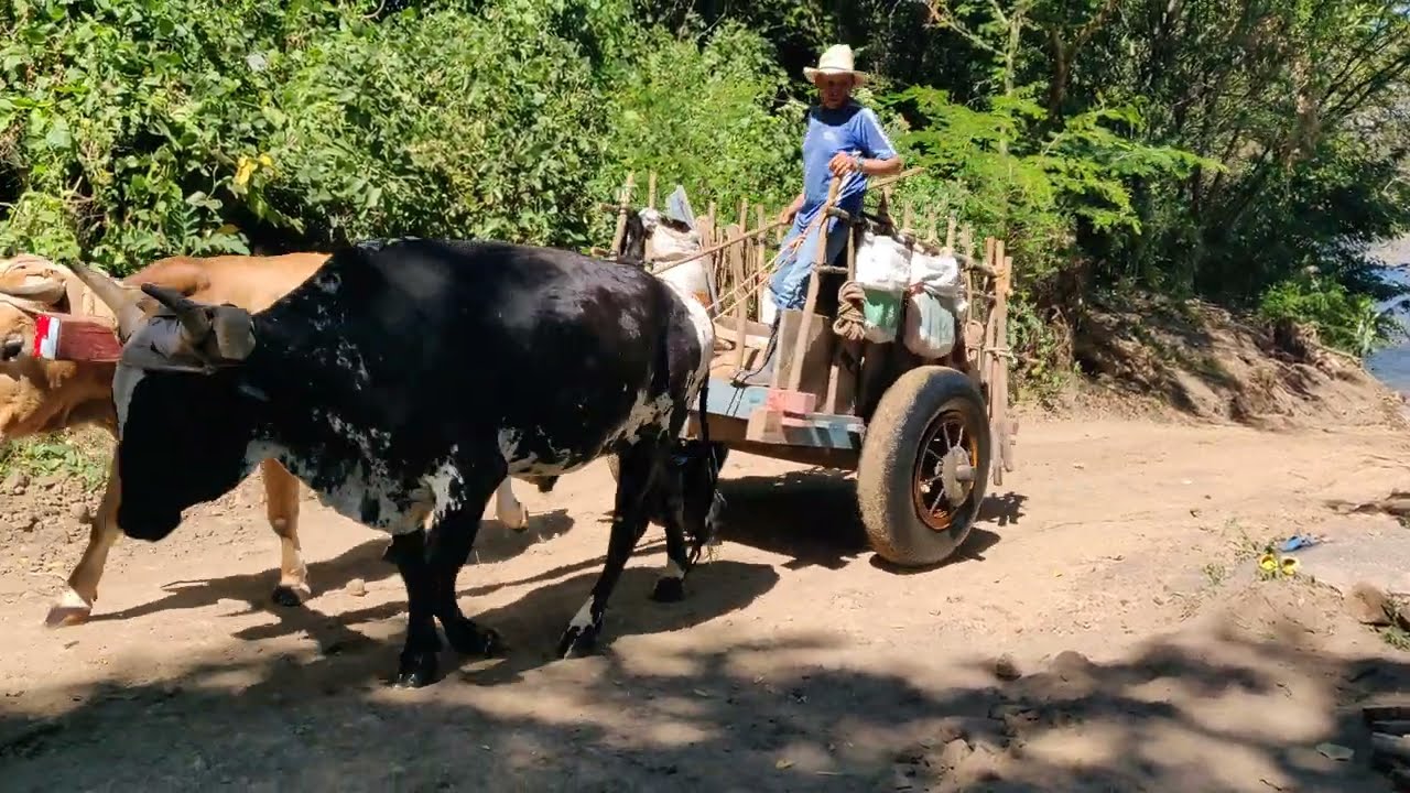 Cómo hacer una carreta rústica para guardar leña, UDIYO