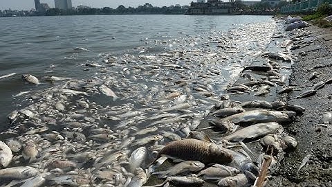 Earth facing extinction level event | CNBC International