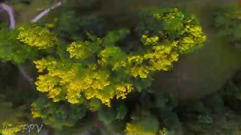 betaflight 3.4 is amazing