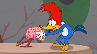 Woody vs His Brain! | Woody Woodpecker