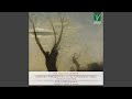 Miniature de la vidéo de la chanson Violin Concerto No. 6 In E Minor, Op. Post: Iii. Rondò Ossia Polonese