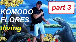 Komodo , Flores , Diving - Part 3   , potápění na ostrovech Komodo a Flores v Indonésii - 3.díl