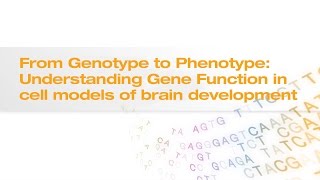 From Genotype to Phenotype | Illumina Webinar