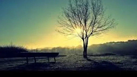 First Tears At The Age Of 6 By Bilal Assad