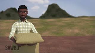 Uzalishaji ulio boreshwa wa maharage “Kiswahili” (Congo DR)